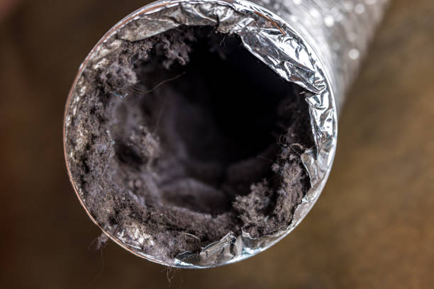 Best Emergency Air Duct Cleaning  in Sheffield Lake, OH